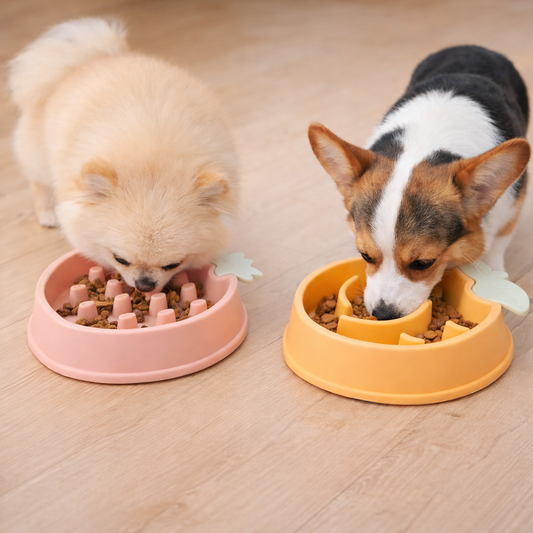 MyTailio™ Slow Feeder Bowl
