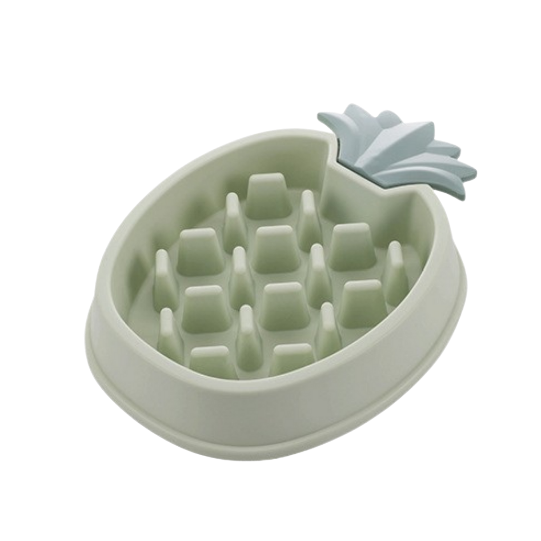 MyTailio™ Slow Feeder Bowl