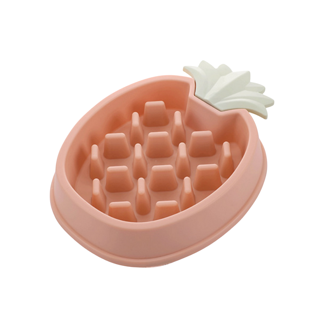 MyTailio™ Slow Feeder Bowl